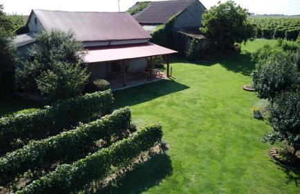 Domki w Winnicy - Świętokrzyska Winnica Knapów - Foto 15