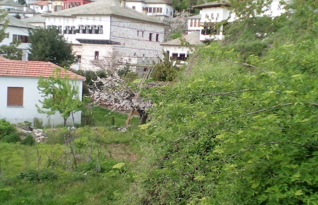 Traditional Guest Home Dimou - Foto 18