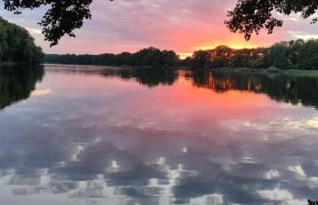 Piotiwo D1 - Foto 22