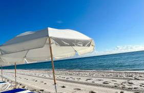 Monte Carlo by Miami Ambassadors - Foto 4