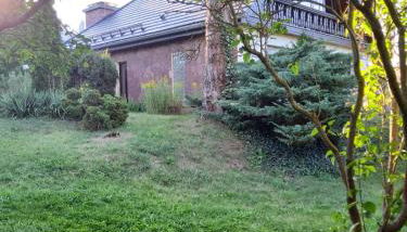 Haus an der Hörsel - Photo 4, Garden