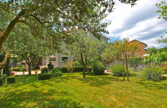 Apartments Daffodils 1002 - Foto 40