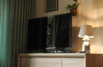 Fewo Gerda Gerdes - Foto 29