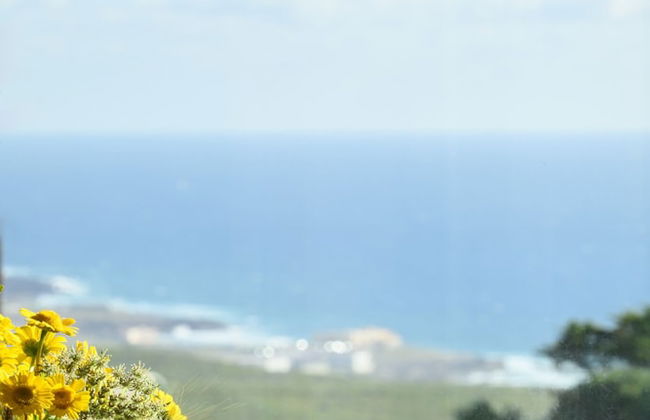 Dream Guincho - Foto 41