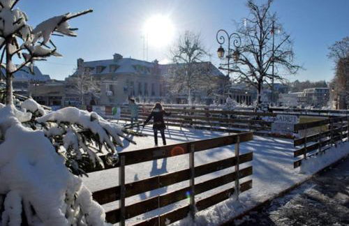 Gîte de l'Alisier - Rambouillet - - Foto 32