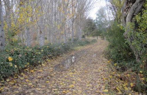 Boleta A 5 minutos de León, casa con jardín - Foto 67
