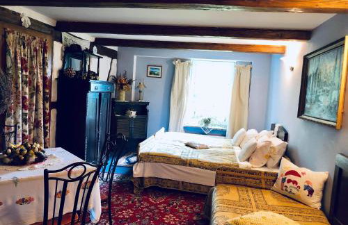 agroturystyka Orzechowe Wzgórze - Foto 24