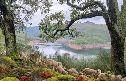 Love Story - Lareira & Sauna - Piscina - Foto 33