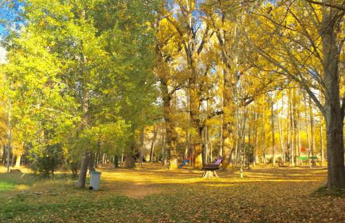 Apart-Hotel Selva Nevada - Foto 32