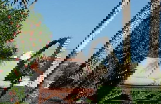 Eftihia Studios - Photo 22