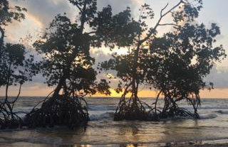 Hoste sol nascente - Photo 3