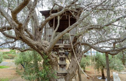 Farm Villa Dova - Foto 12