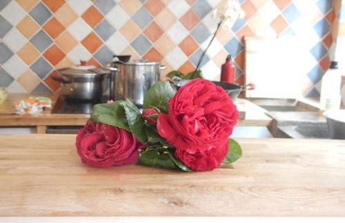 Lagrasse Romantic house, enclosed garden, pool - Foto 30