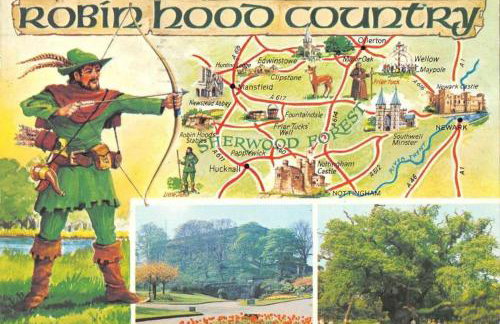 Luxury modern home log fire & outdoor living - Foto 32