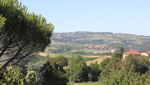 Le clos des vignes - Foto 4