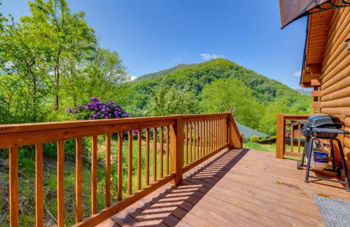 Maggie Valley Cabin 4 Mi to Cataloochee Ski Area! - Foto 5