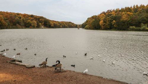 The Old Dairy - Foto 2