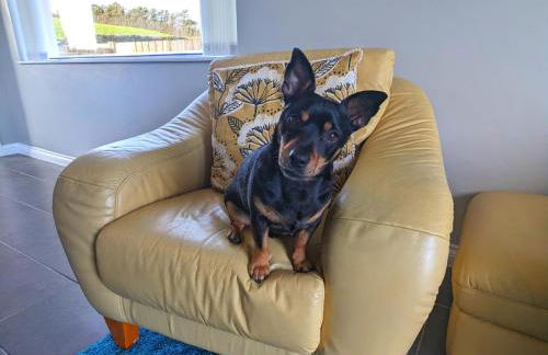 The Paddock - Foto 13