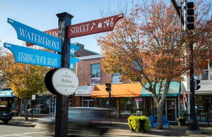 Cozy Spacious Home Walk to the Beach and 1 Mile to Downtown Hyannis - Photo 49