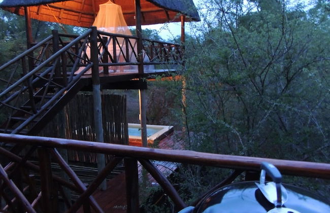 Lion Tree Bush Lodge - Foto 17