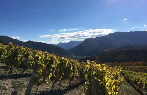 Le gîte de Valérie côté jardin - Foto 1