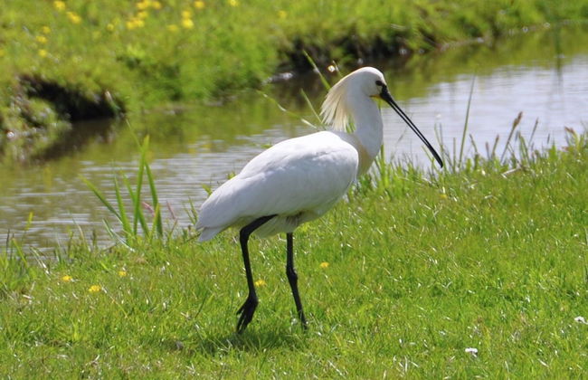 Cozy Houseboat at the Edge of the Marina - Foto 15