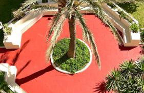 Puerto Paraiso Estepona port - Photo 21