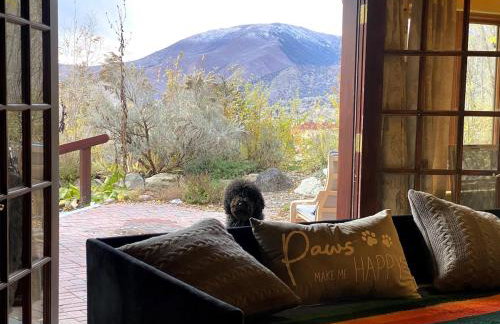 Million Dollar Castle Walk to downtown Glenwood and HotSprings - Foto 20