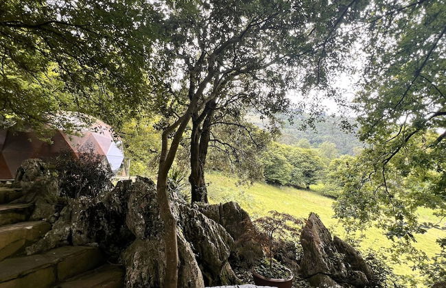 Domocantabria - Foto 44