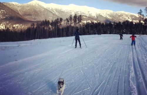 Amazing Log Cabin Rental with Pool Table in the Mountains in West Glacier, Montana - Foto 21