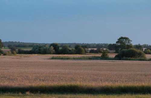 Gutshaus Zarchlin - Photo 9