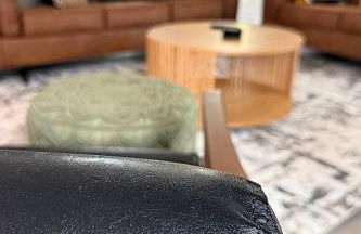 Grant Park x Midtown Modern x Parks/Zoo/Aquarium - Photo 62