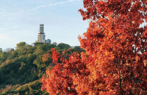 Ferienwohnung Balduin - Photo 13