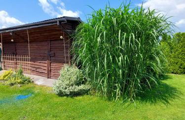 Pokoje w domu na wsi - Foto 6