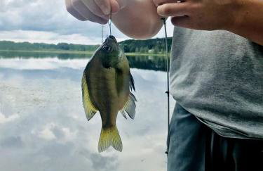 Cozy Lakefront Retreat with Game Room, Outdoor Living and Dock in Wisconsin - Foto 22
