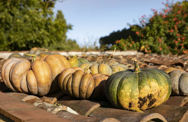 Agriturismo San Leonardello - Foto 41