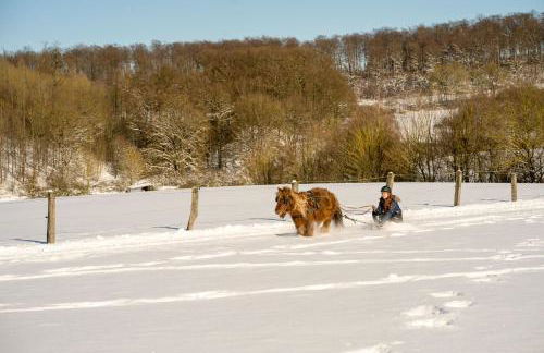 Ferienhof Homann Sauerland - Foto 55