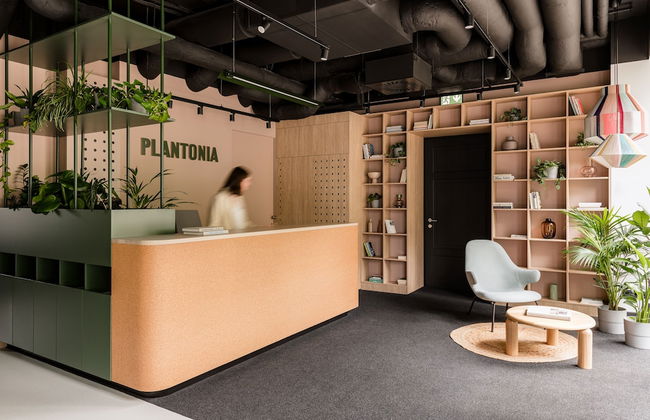 Plantonia - Foto 8