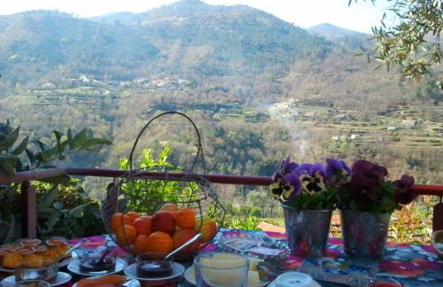 Casa do Moleiro - Foto 4