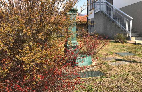 Villino Carla - Foto 37