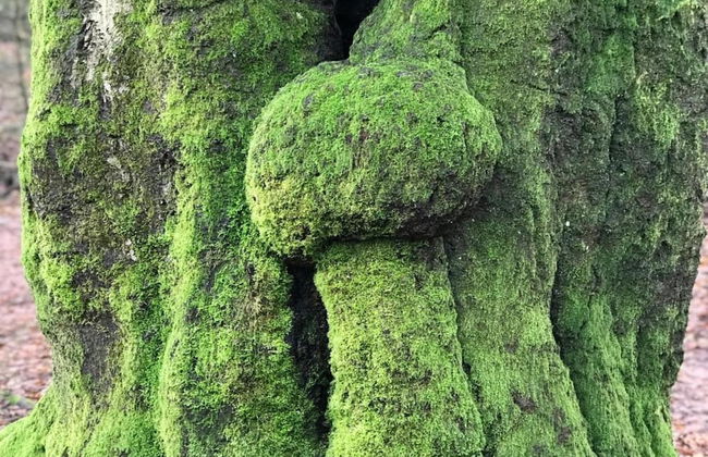 Stylish Stay in Hoenderloo - Foto 37