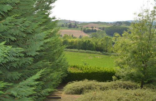 Villa Patrizia - Foto 15