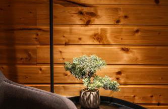 Wild Rose Samobor - Foto 49