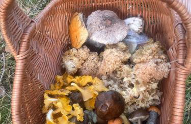 Domek Dziesiątka Borsk nad samym jeziorem - pierwsza linia - Foto 26