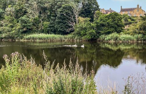 Cygnet Cottage - Foto 16