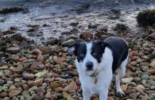 Tigh Na Mara - Foto 38