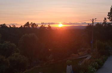 A Casa dos Avós - Alojamento Local - Foto 31