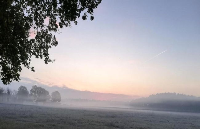 Forest Chalet in Lanklaar - Foto 33