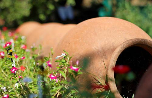 Las Hazas Jarandilla de la Vera - Foto 19