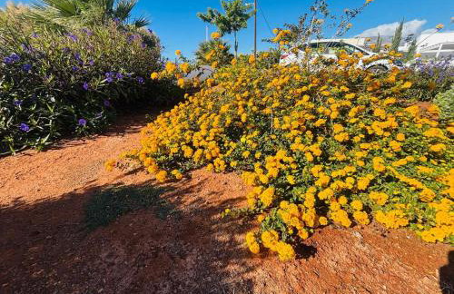 Makrigialos Long Beach Villa 5 - Foto 42